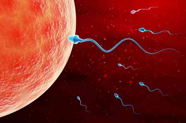 Testosterone Reproduction Or Sperm Production Benefits