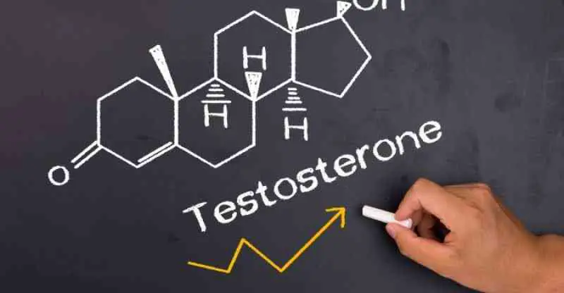 Why Do You Need High Testosterone Level In Your Body