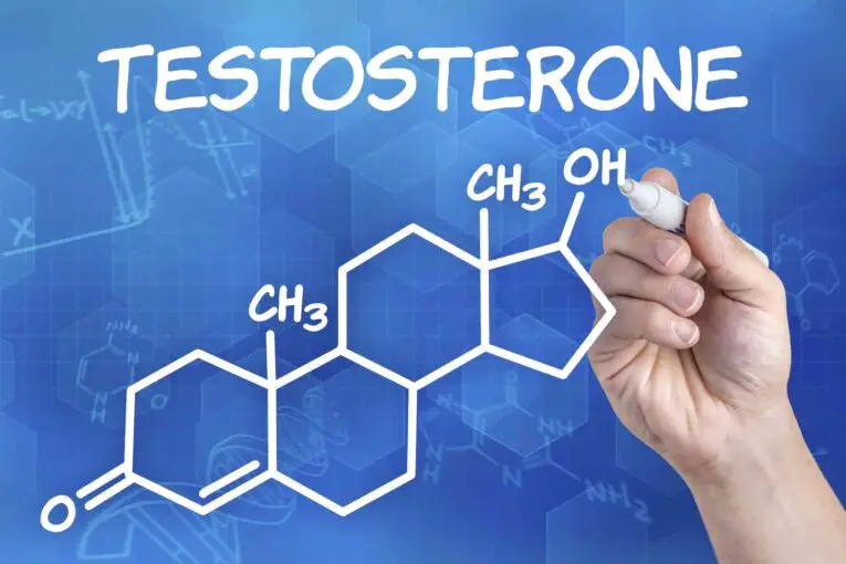Foods That Increase Testosterone Naturally